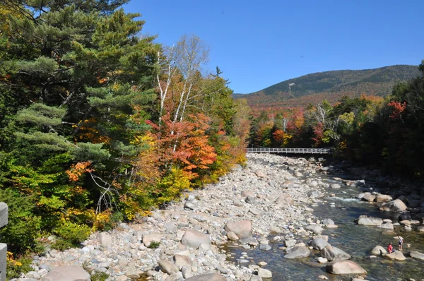 Follaje de otoño en el Bosque Nacional White Mountain en New Hampshire — Foto de Stock