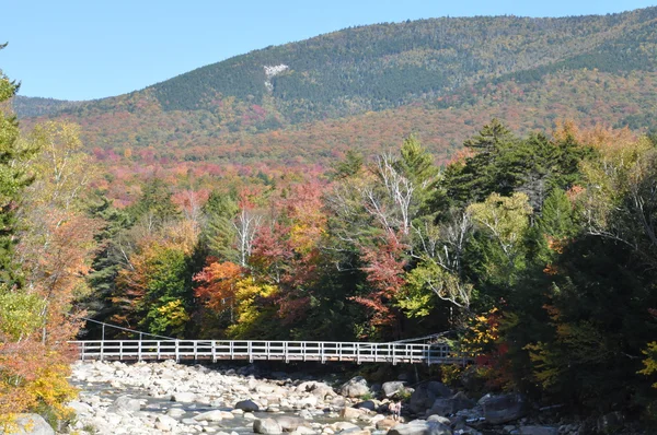 Follaje de otoño en el Bosque Nacional White Mountain en New Hampshire — Foto de Stock