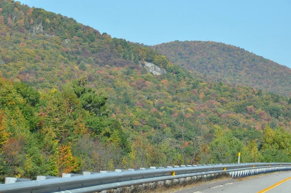 Falla lövverk på den vita mountain national forest i new hampshire — Stockfoto