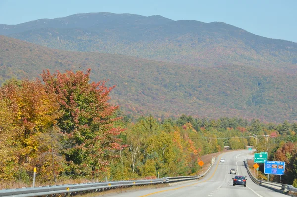 Folhagem de Outono na Floresta Nacional da Montanha Branca em New Hampshire — Fotografia de Stock