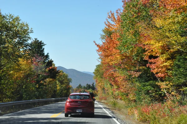 Falla lövverk på den vita mountain national forest i new hampshire Royaltyfria Stockfoton