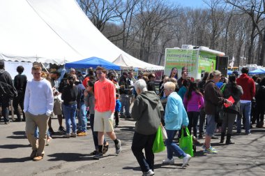 meriden, connecticut 37 yıllık nergis Festivali
