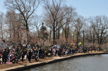 meriden, connecticut 37 yıllık nergis Festivali