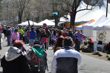 meriden, connecticut 37 yıllık nergis Festivali