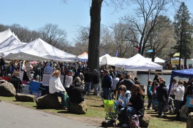 meriden, connecticut 37 yıllık nergis Festivali