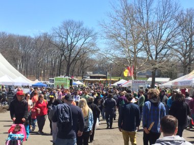 meriden, connecticut 37 yıllık nergis Festivali