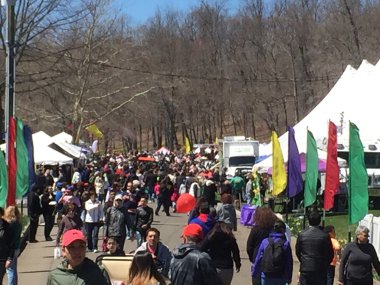 meriden, connecticut 37 yıllık nergis Festivali