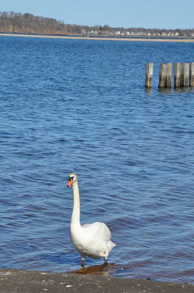 Vista desde la playa de West Haven en Connecticut — Foto de Stock