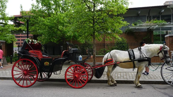 马和马车的游乐设施在费城 — 图库照片