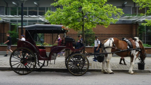 马和马车的游乐设施在费城 — 图库照片