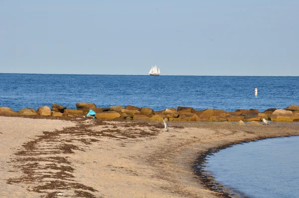 Praia de Falmouth em Cape Cod — Fotografia de Stock