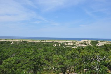 Yarış noktası Beach Cape Cod üzerinde