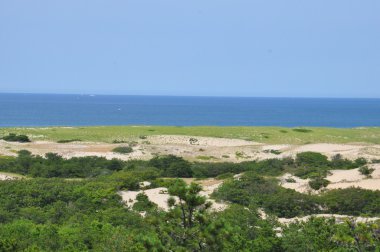 Yarış noktası Beach Cape Cod üzerinde
