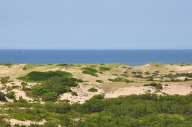 Yarış noktası Beach Cape Cod üzerinde