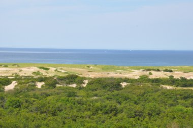 Yarış noktası Beach Cape Cod üzerinde