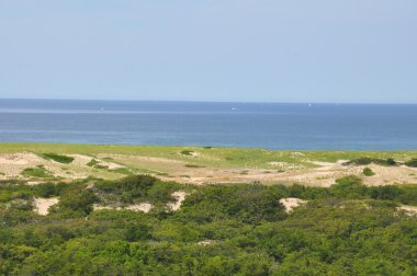 Yarış noktası Beach Cape Cod üzerinde