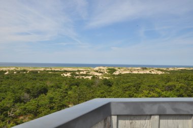 Yarış noktası Beach Cape Cod üzerinde