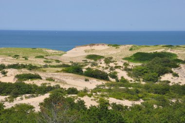 Yarış noktası Beach Cape Cod üzerinde