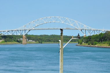 Cape Cod Kanalı 'ndaki Sagamore Köprüsü