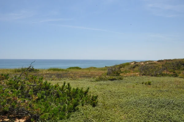 Marconi istasyonu Massachusetts Cape Cod üzerinde görünümü