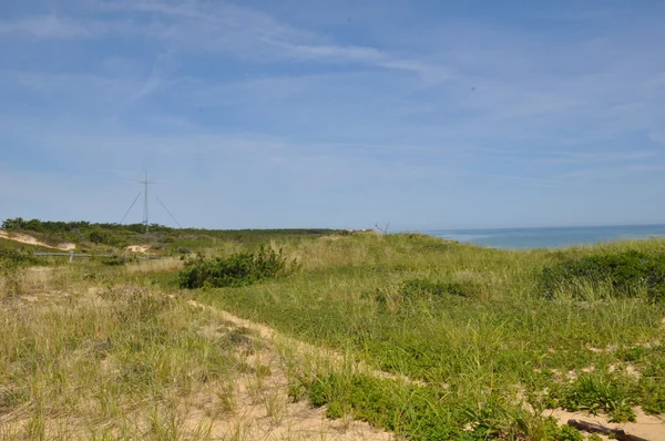 Marconi istasyonu Massachusetts Cape Cod üzerinde görünümü