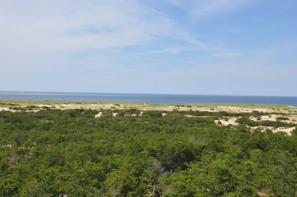 Yarış noktası Beach Cape Cod üzerinde