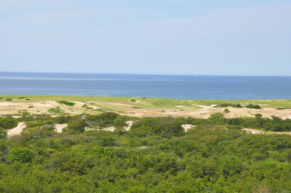Yarış noktası Beach Cape Cod üzerinde