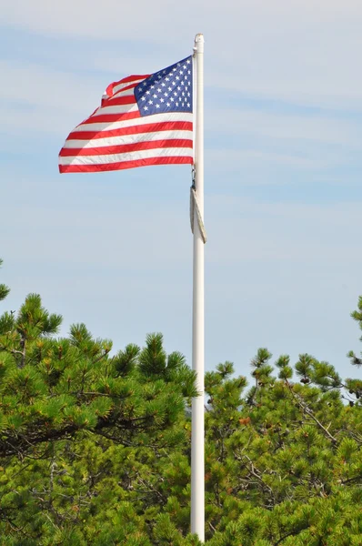 Race punt strand op Cape Cod — Stockfoto