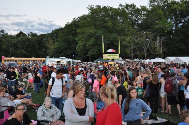 Balon kızdırma 2015 Plainville yangın firma sıcak hava balon Festivali alacakaranlıkta