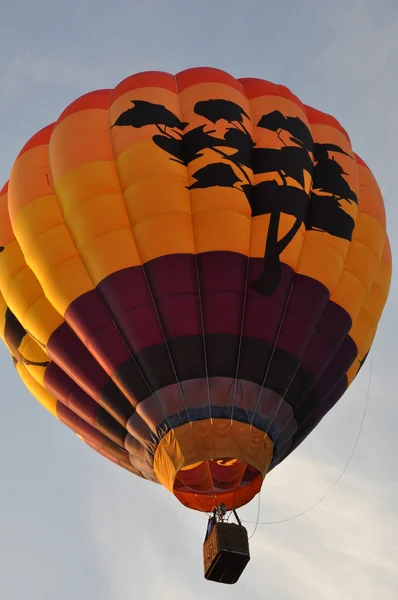 Hot Air Balloons — Stock Photo, Image