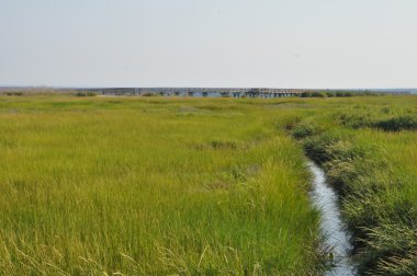 Gümüş kumlar State Park Milford, Connecticut