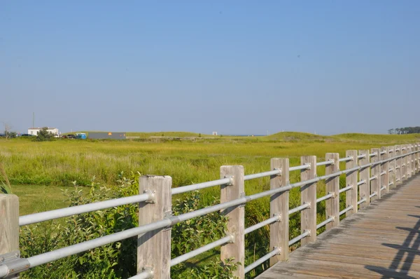 Ezüst Sands State Park, Milford, Connecticut — Stock Fotó