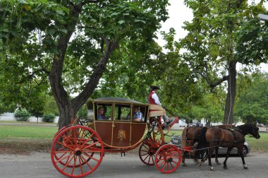Williamsburg, Virginia atlı arabası rides