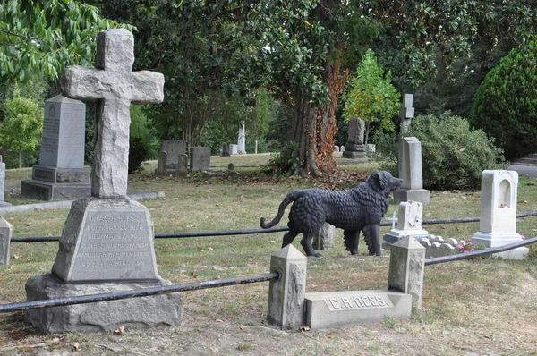 Hollywood Cemetery i Richmond, Virginia — Stockfoto