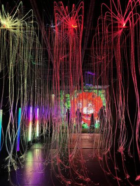 NEW YORK, NY - 3 AUG: New York 'taki Balon Hikayesi' nde sergi, 3 Ağustos 2024.