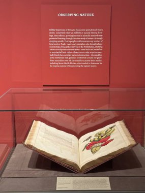 NEW YORK, NY - 3 AUG: New York 'taki Morgan Kütüphanesi ve Müzesinde sergi, 3 Ağustos 2024.