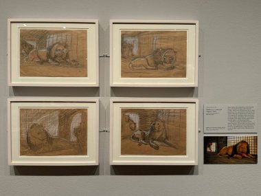 NEW YORK, NY - 3 AUG: New York 'taki Morgan Kütüphanesi ve Müzesinde sergi, 3 Ağustos 2024.