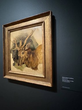 NEW YORK, NY - 3 AUG: New York 'taki Morgan Kütüphanesi ve Müzesinde sergi, 3 Ağustos 2024.