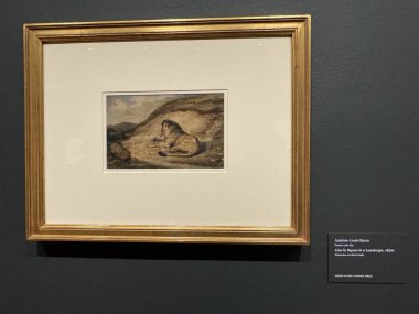 NEW YORK, NY - 3 AUG: New York 'taki Morgan Kütüphanesi ve Müzesinde sergi, 3 Ağustos 2024.