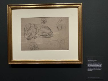 NEW YORK, NY - 3 AUG: New York 'taki Morgan Kütüphanesi ve Müzesinde sergi, 3 Ağustos 2024.