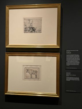 NEW YORK, NY - 3 AUG: New York 'taki Morgan Kütüphanesi ve Müzesinde sergi, 3 Ağustos 2024.