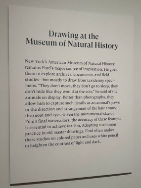 NEW YORK, NY - 3 AUG: New York 'taki Morgan Kütüphanesi ve Müzesinde sergi, 3 Ağustos 2024.