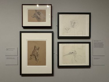 NEW YORK, NY - 3 AUG: New York 'taki Morgan Kütüphanesi ve Müzesinde sergi, 3 Ağustos 2024.