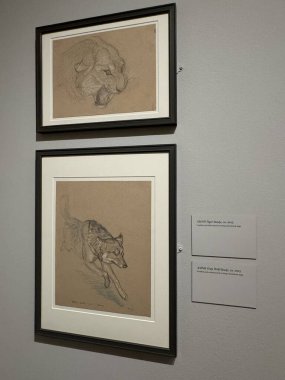 NEW YORK, NY - 3 AUG: New York 'taki Morgan Kütüphanesi ve Müzesinde sergi, 3 Ağustos 2024.