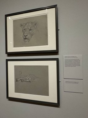 NEW YORK, NY - 3 AUG: New York 'taki Morgan Kütüphanesi ve Müzesinde sergi, 3 Ağustos 2024.