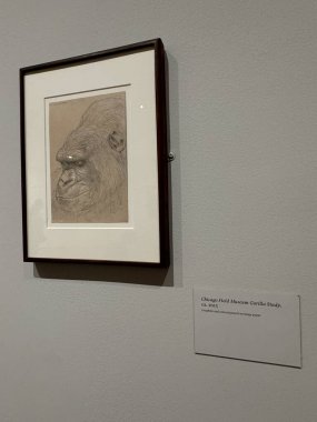 NEW YORK, NY - 3 AUG: New York 'taki Morgan Kütüphanesi ve Müzesinde sergi, 3 Ağustos 2024.