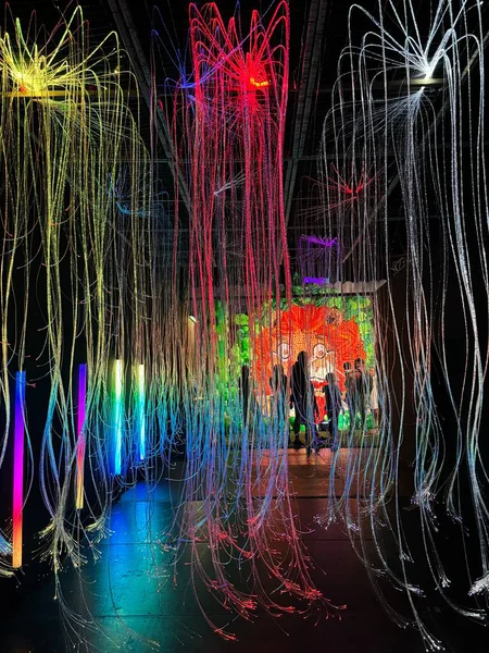 NEW YORK, NY - 3 AUG: New York 'taki Balon Hikayesi' nde sergi, 3 Ağustos 2024.