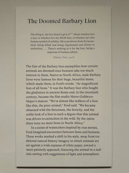 NEW YORK, NY - 3 AUG: New York 'taki Morgan Kütüphanesi ve Müzesinde sergi, 3 Ağustos 2024.