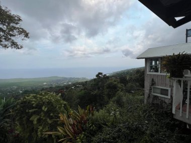 14 Ağustos 2022 'de Hawaii' de Büyük Ada 'da kahve kaplı bir çiftliğin görüntüsü..