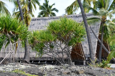 HONAUNAU, HI - 11 AUG: Puuhonua O Honaunau Ulusal Tarih Parkı, Hawaii, Honaunau, Büyük Ada, 11 Ağustos 2022 'de görüldüğü gibi.